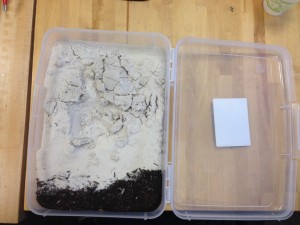 Container (with sand & soil)
